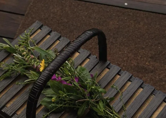 De Udra * Pontevedra